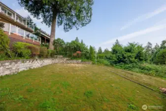 Spacious area in the backyard