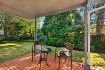 Backyard