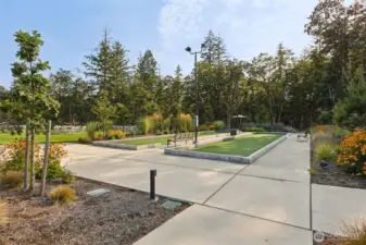 Lawn game area