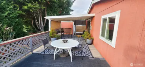 Back Patio
