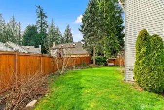 Backyard with fruit trees