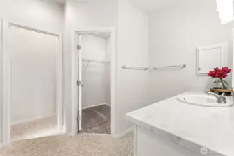 Roomy primary bath w/walk in closet