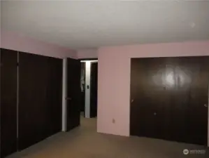 Master has offers two large closets.