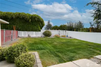 Here is second view of big fully fenced back yard with double gate access to side yard