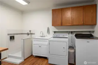 Remodeled mud room includes a dog wash area.