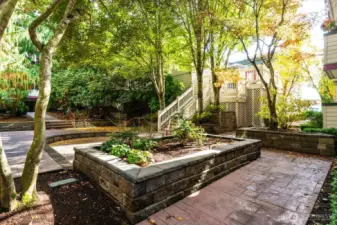 Courtyard bliss, a peaceful outdoor common space to relax and unwind.