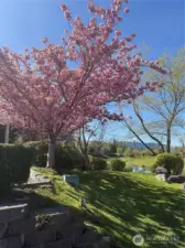 Beautiful park setting for year round enjoyment.