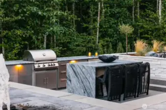Outdoor kitchen with granite island, built-in barbeque and fridge, and custom fountain.
