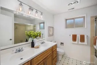 Lower level bathroom