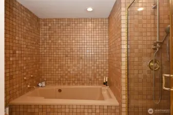 Original Spanish tile