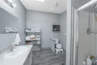 Primary Bath 3
