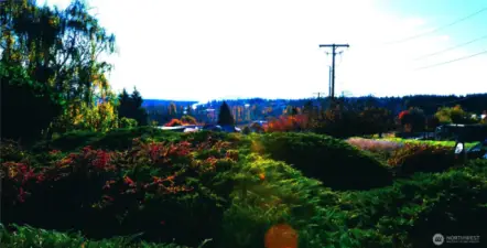 View from the front door.