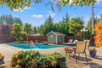 One of a kind backyard, complete with in-ground swimming pool!  Barbeque area has motorized sunshade.