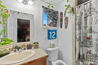 Bonus room bathroom