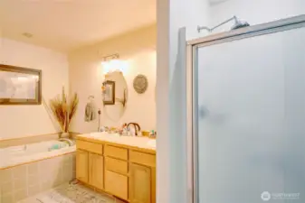 Primary bath with seperate sunken tub and shower