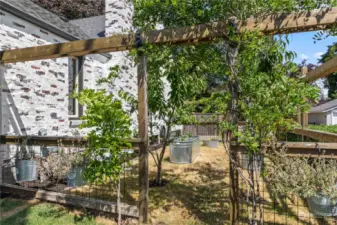 Enter to your garden space!  Filled with fruit trees and raised garden space