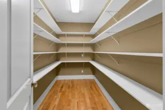 Huge Walk-in Pantry