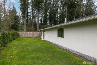 Fenced backyard