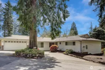 Tucked away in the sought-after Wilburton neighborhood, just minutes from vibrant Downtown Bellevue!