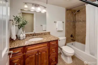 Updated guest full bathroom