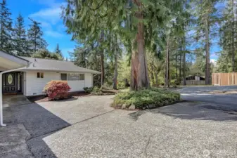 Private driveway