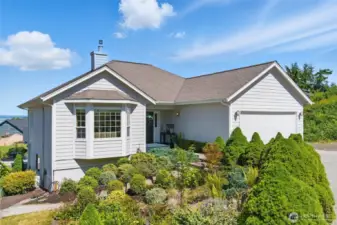 Landscaped yard
