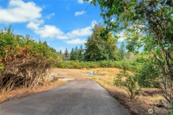 Driveway to the Vacant Lot