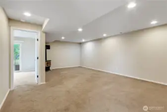 Family Room (Lower Level)