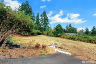 Driveway to the Vacant lot