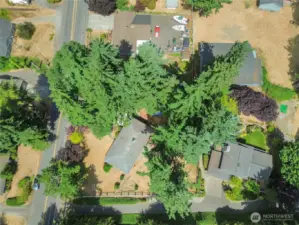 Arial View