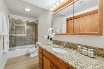 Lower level full bath