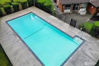 Full Size Community Swimming Pool
