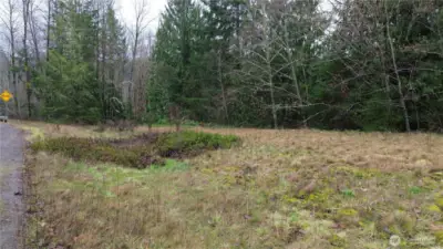 Start of road to cabin