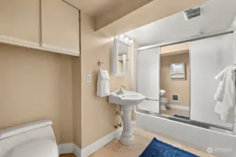 Lower level ensuite bathroom.