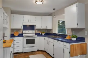 Kitchen opens to family/dining area.