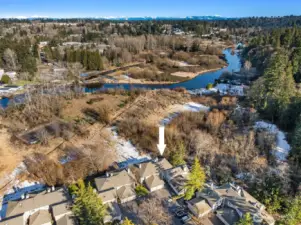 Wildcliffe Shores has 9.27 acres of nature habitat on the shores of Sammamish River