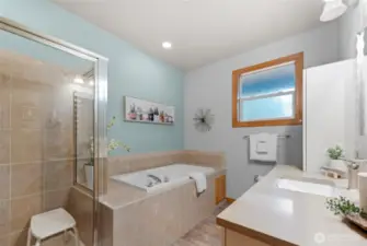 Primary Bathroom with shower and jetted tub.