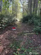 Driveway into building site.