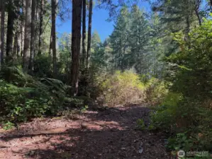 One of many trails throughout the property.