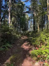 Nice walking trail.