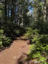 Yet another trail.