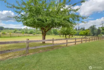 some fencing and open pasture