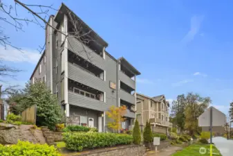 Elevation looking north