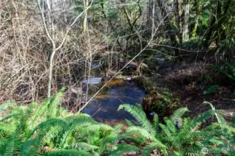Enjoy the winding creek on this peaceful acreage