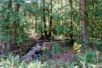 This winding creek is active usually year around