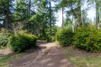 Wide trails for walking, horseback riding or recreational vehicles