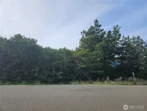 Nice lot, backing up to a green belt.