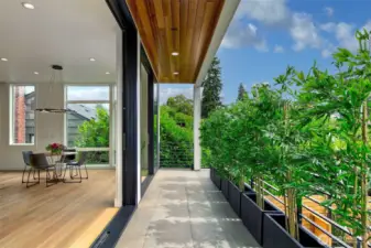 This image shows the primary-level balcony of Unit A, just off the dining area, with bamboo planters adding privacy and greenery. The open-air corridor is wrapped in cedar above, framing views to the northeast. The sleek concrete floor echoes the crisp lines and contemporary elegance of the home’s rear elevation—revealed in earlier images—with Unit B tucked discreetly below.