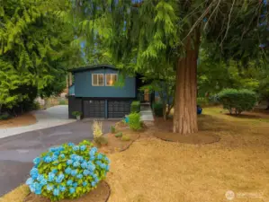 Ample Parking and beautiful mature landscaping