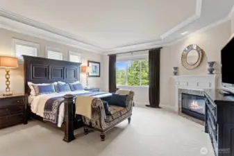 Fireplace in Master